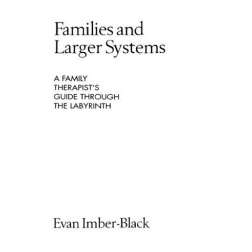 Families and Larger Systems: A Family Therapist''s Guide Through the Labyrinth Paperback, Guilford Publications
