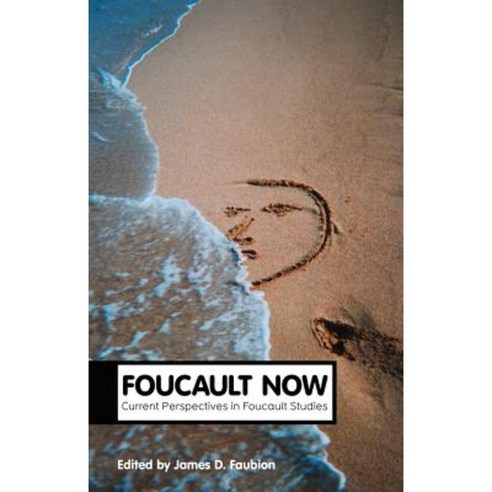 Foucault Now: Current Perspectives in Foucault Studies Hardcover, Polity Press