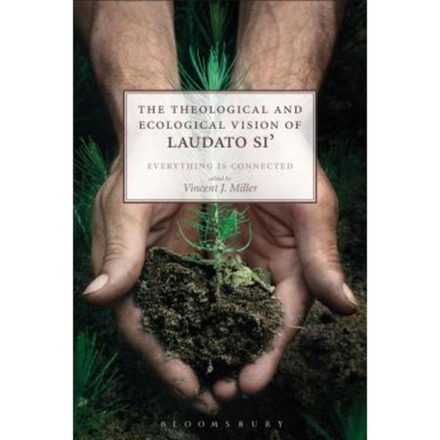 The Theological and Ecological Vision of Laudato Si'': Everything Is Connected Hardcover, Bloomsbury Publishing PLC