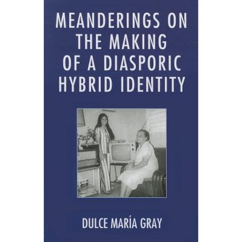 Meanderings on the Making of a Diasporic Hybrid Identity Hardcover, University Press of America