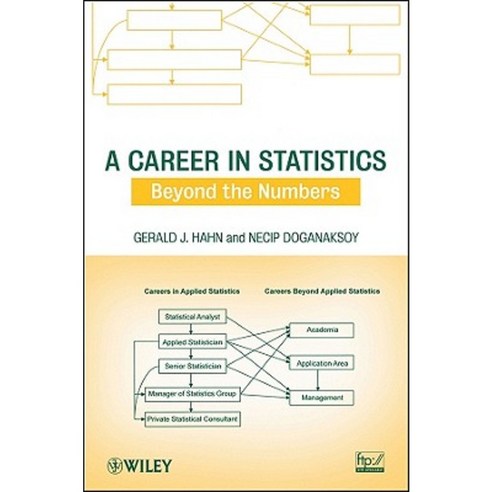 A Career in Statistics: Beyond the Numbers Paperback, Wiley