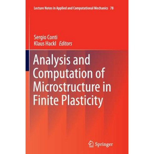 Analysis and Computation of Microstructure in Finite Plasticity Paperback, Springer