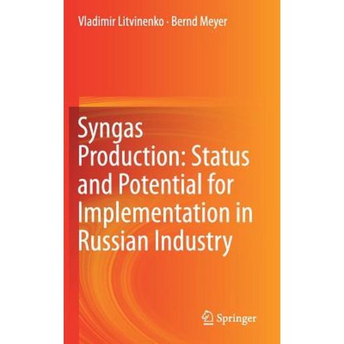 Syngas Production: Status and Potential for Implementation in Russian Industry Hardcover, Springer