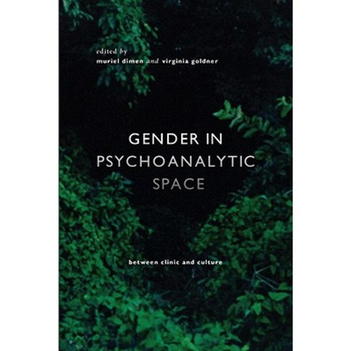 Gender in Psychoanalytic Space Paperback, Other Press Professional