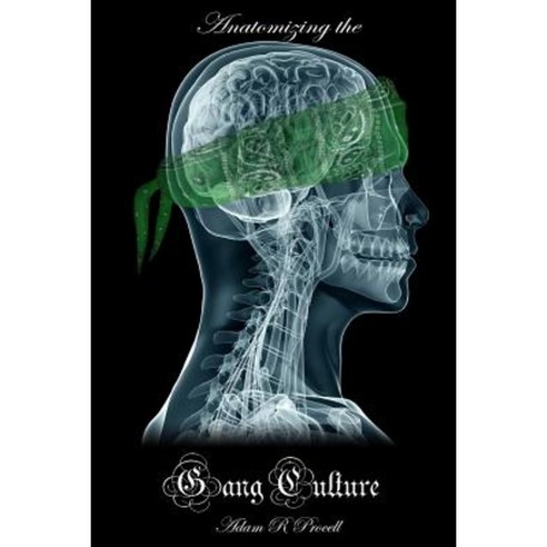 Anatomizing the Gang Culture Paperback, Beyond Reproach Publications