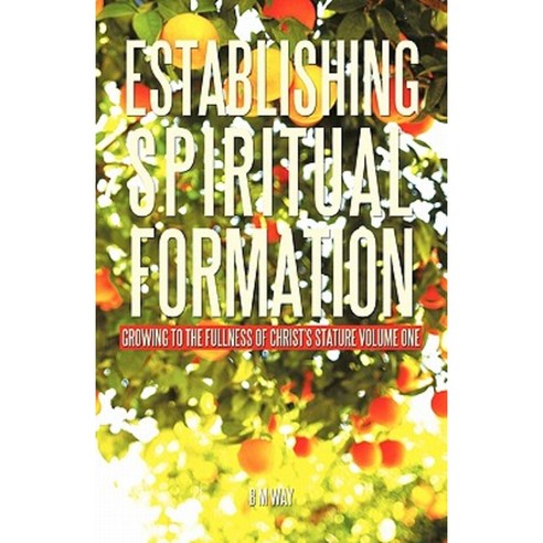 Establishing Spiritual Formation: Growing to the Fullness of Christ''s Stature Volume One Paperback, iUniverse