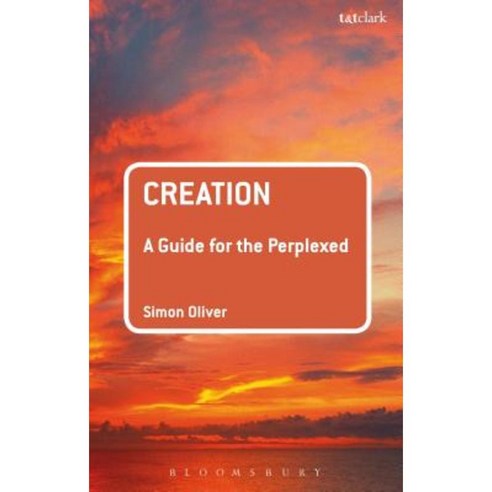 Creation: A Guide for the Perplexed Paperback, T & T Clark International