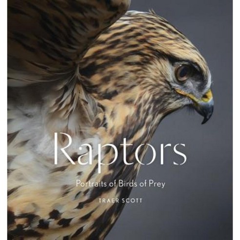 Raptors: Portraits of Birds of Prey Hardcover, Princeton Architectural Press