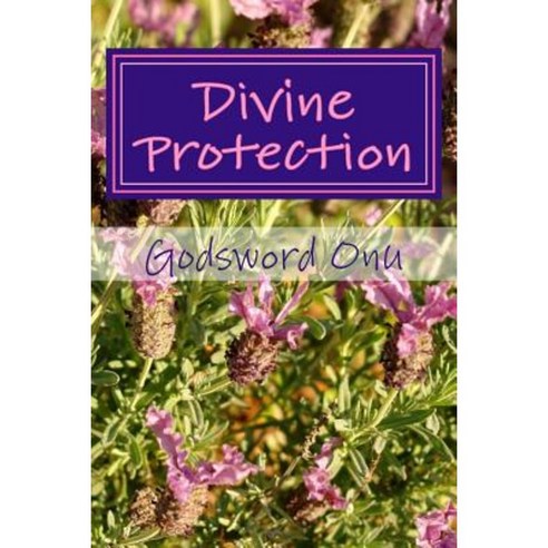 Divine Protection: Safety and Security in God Paperback, Createspace