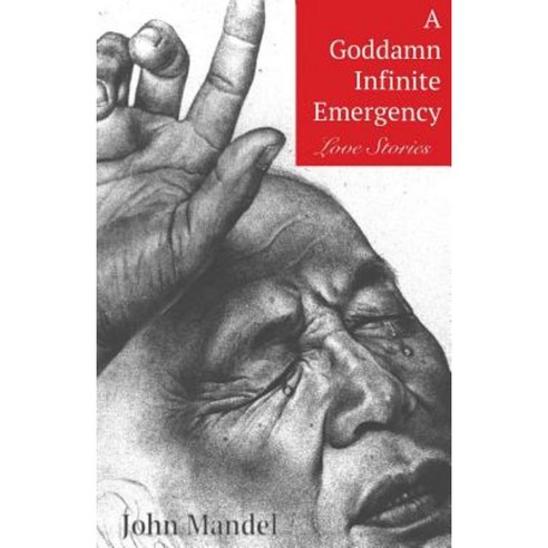 A Goddamn Infinite Emergency: Love Stories Paperback, Solipsis Publishing