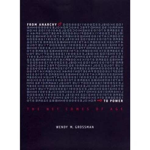 From Anarchy to Power: The Net Comes of Age Hardcover, New York University Press