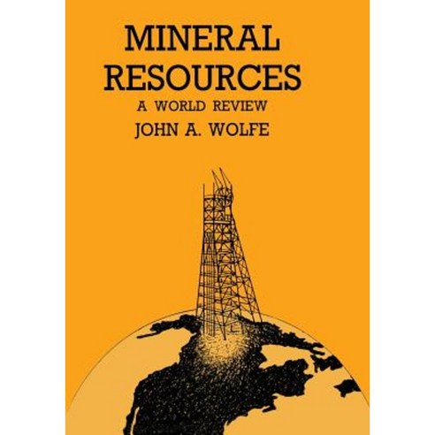 Mineral Resources a World Review Paperback, Springer