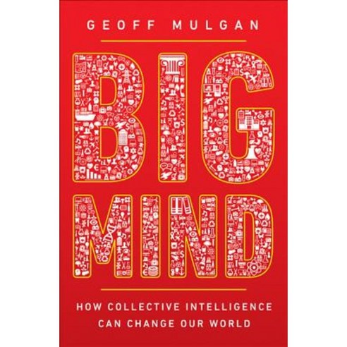 Big Mind: How Collective Intelligence Can Change Our World Hardcover, Princeton University Press