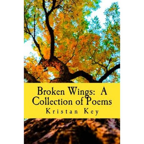 Broken Wings: A Collection of Poems Paperback, Golden Avenue Publishing