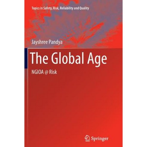 The Global Age: Ngioa @ Risk Paperback, Springer