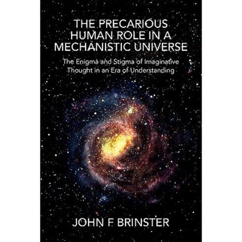 The Precarious Human Role in a Mechanistic Universe Paperback, Xlibris
