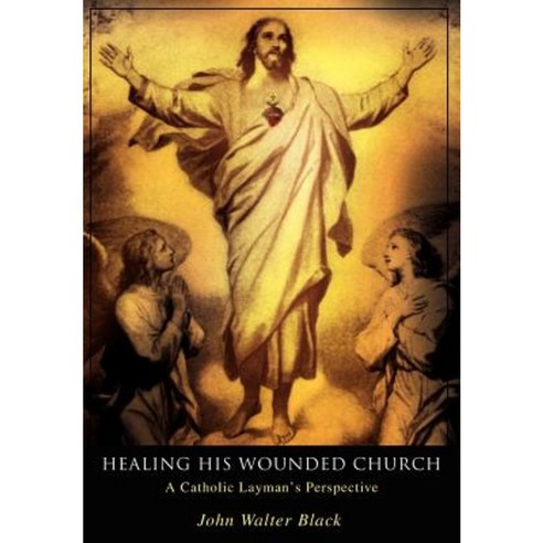 Healing His Wounded Church: A Catholic Layman''s Perspective Hardcover, iUniverse