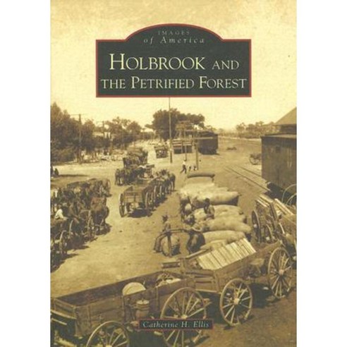 Holbrook and the Petrified Forest Paperback, Arcadia Publishing (SC)