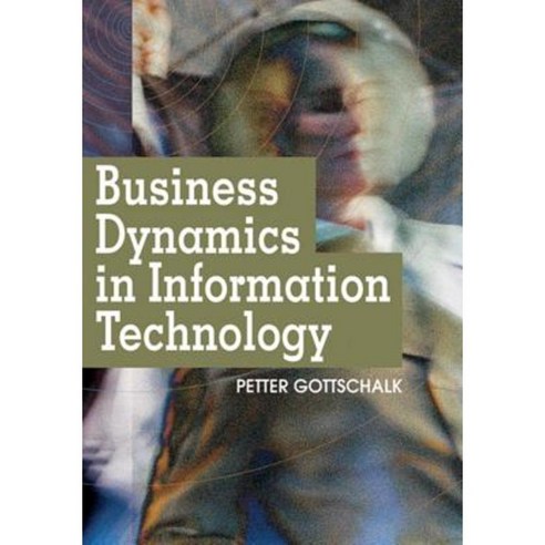 Business Dynamics in Information Technology Hardcover, Idea Group Publishing
