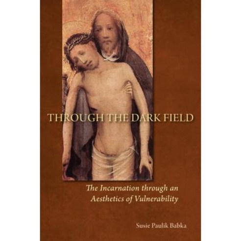 Through the Dark Field: The Incarnation Through an Aesthetics of Vulnerability Paperback, Michael Glazier Books