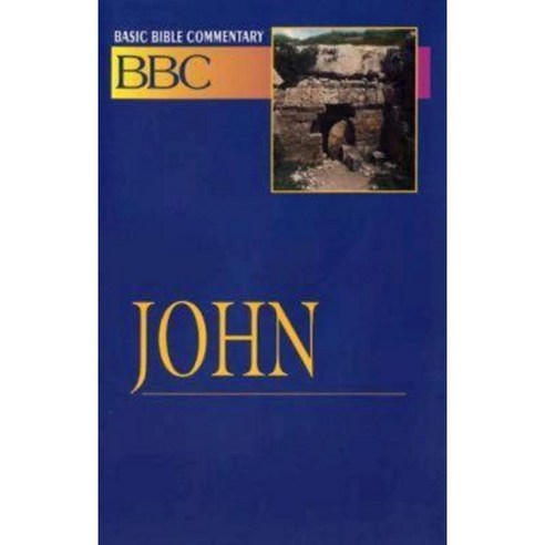 Basic Bible Commentary John Paperback, Abingdon Press