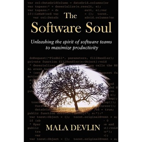 The Software Soul Paperback, Devlin Publishing