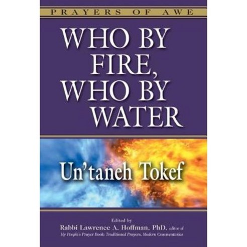 Who by Fire Who by Water: Un''taneh Tokef Hardcover, Jewish Lights Publishing