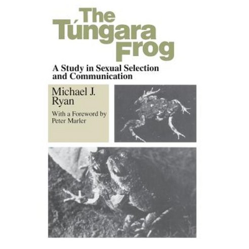 The Tungara Frog: A Study in Sexual Selection and Communication Paperback, University of Chicago Press