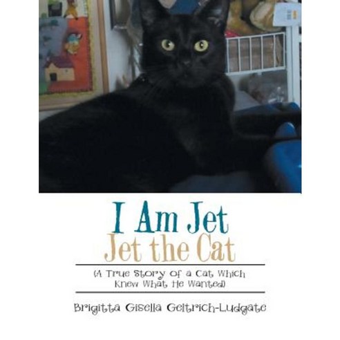 I Am Jet Jet the Cat: (A True Story of a Cat Which Knew What He Wanted) Paperback, Xlibris