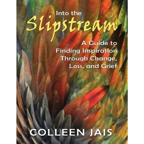 Into the Slipstream: A Guide to Finding Inspiration Through Change Loss and Grief Paperback, Transformation Publishing