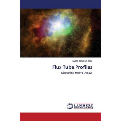 Flux Tube Profiles Paperback, LAP Lambert Academic Publishing
