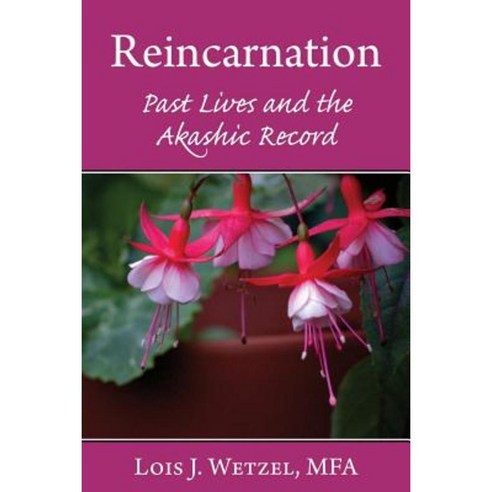 Reincarnation: Past Lives and the Akashic Records Paperback, Hot Pink Lotus Press