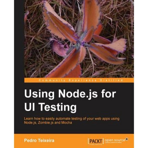 Testing Node.Js Web Uis, Packt Publishing
