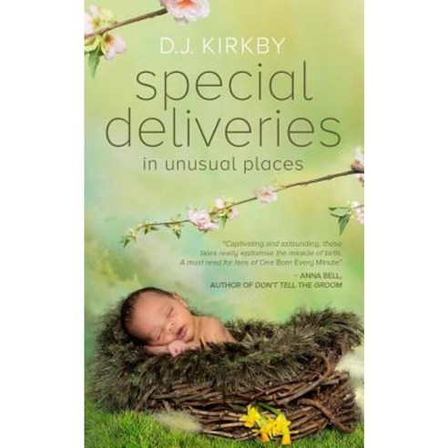 Special Deliveries: In Unusual Places Paperback, Sunnyside Press