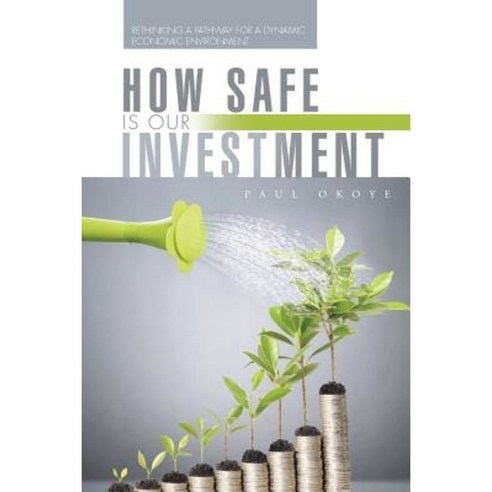 How Safe Is Our Investment: Rethinking a Pathway for a Dynamic Economic Environment Paperback, Authorhouse