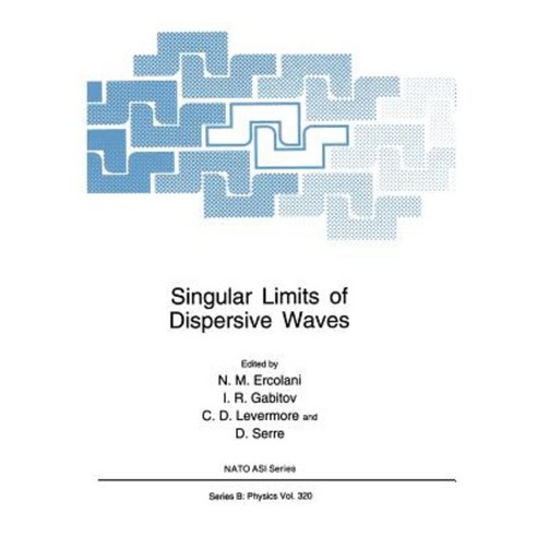 Singular Limits of Dispersive Waves Paperback, Springer