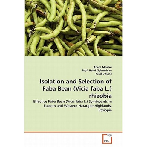 Isolation and Selection of Faba Bean (Vicia Faba L.) Rhizobia Paperback, VDM Verlag