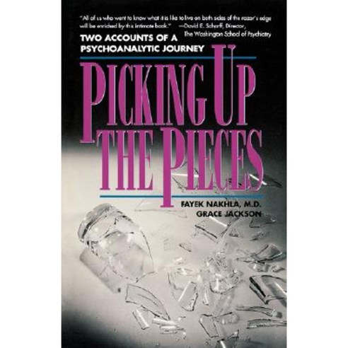 Picking Up the Pieces: Two Accounts of a Psychoanalytic Journey Paperback, Yale University Press