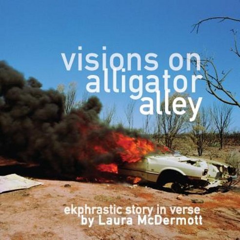 Visions on Alligator Alley: Ekphrastic Story in Verse Paperback, Lominy Books