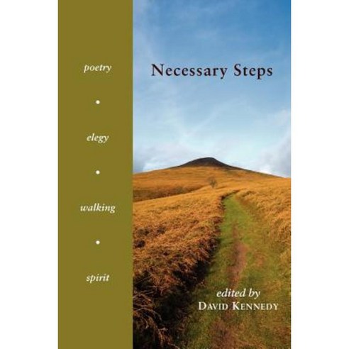 Necessary Steps Paperback, Shearsman Books