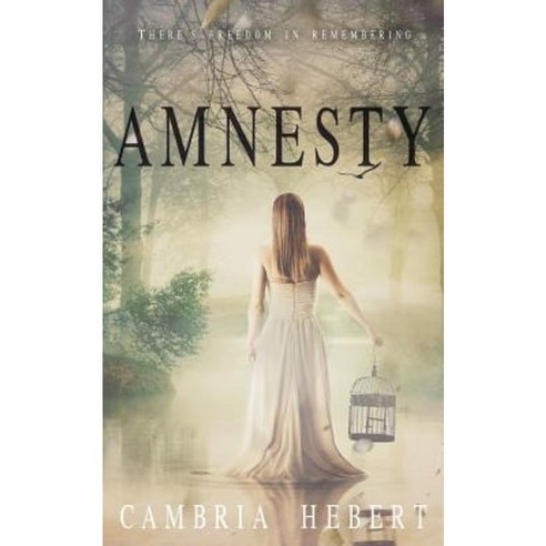 Amnesty: Amnesia Duet Book 2 Paperback, Cambria Hebert