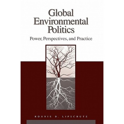 Global Environmental Politics: Power Perspectives and Practice Paperback, CQ Press