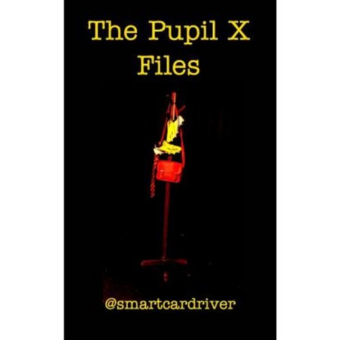 The Pupil X Files Paperback, Blurb