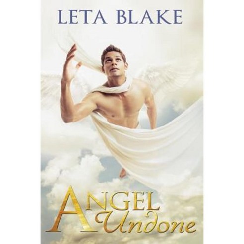 Angel Undone Paperback, Leta Blake Books