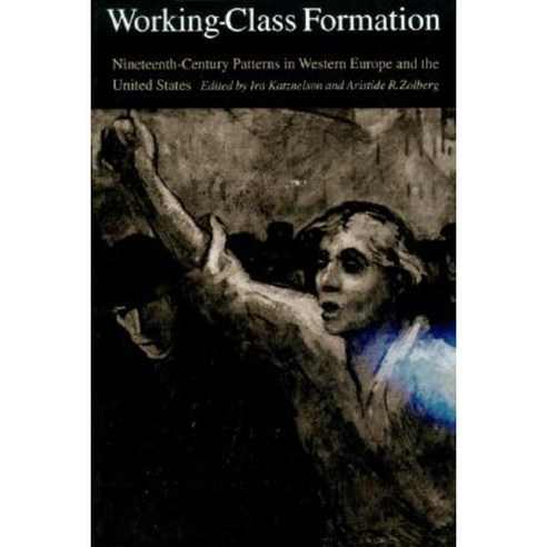 Working-Class Formation: Ninteenth-Century Patterns in Western Europe and the United States Paperback, Princeton University Press