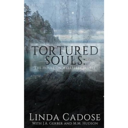 Tortured Souls: The House on Wellfleet Bluffs Paperback, Createspace Independent Publishing Platform