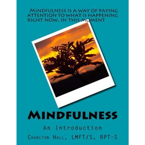 Mindfulness: An Introduction Paperback, Createspace Independent Publishing Platform