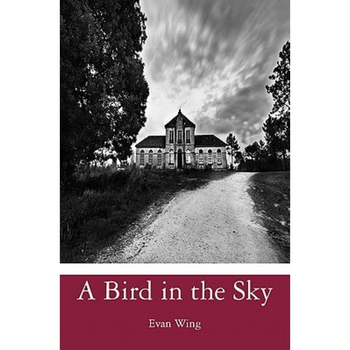 A Bird in the Sky Paperback, Createspace Independent Publishing Platform