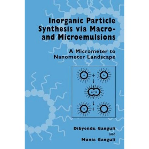 Inorganic Particle Synthesis Via Macro and Microemulsions: A Micrometer to Nanometer Landscape Paperback, Springer