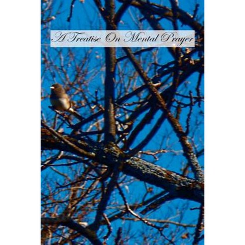 A Treatise on Mental Prayer Paperback, Createspace Independent Publishing Platform